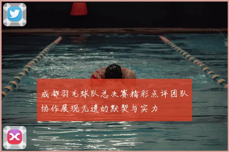 成都羽毛球队总决赛精彩点评团队协作展现无遗的默契与实力