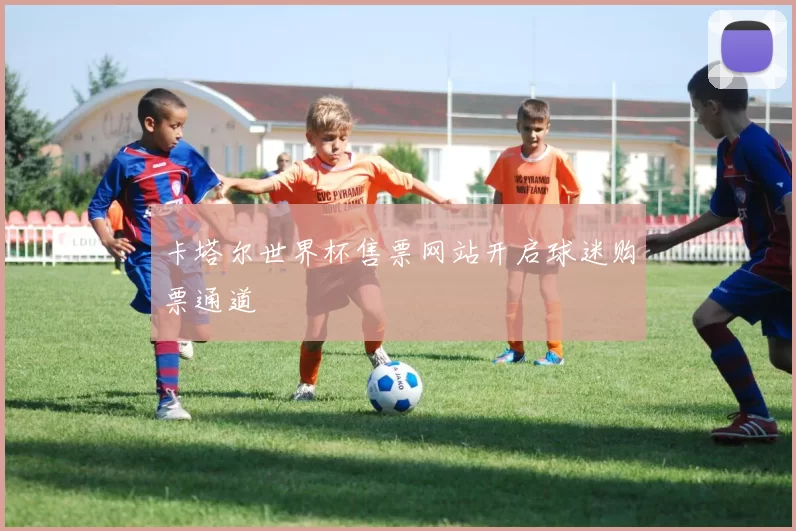 卡塔尔世界杯售票网站开启球迷购票通道