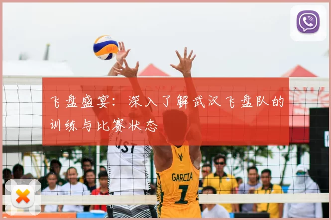 飞盘盛宴：深入了解武汉飞盘队的训练与比赛状态