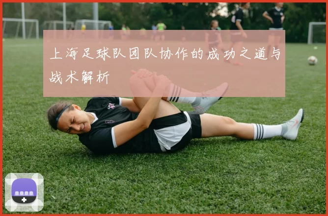 上海足球队团队协作的成功之道与战术解析