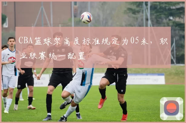 CBA篮球架高度标准规定为05米,职业联赛统一配置