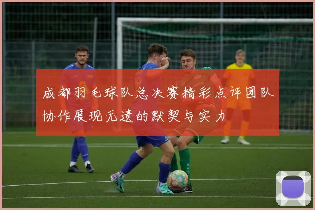 成都羽毛球队总决赛精彩点评团队协作展现无遗的默契与实力
