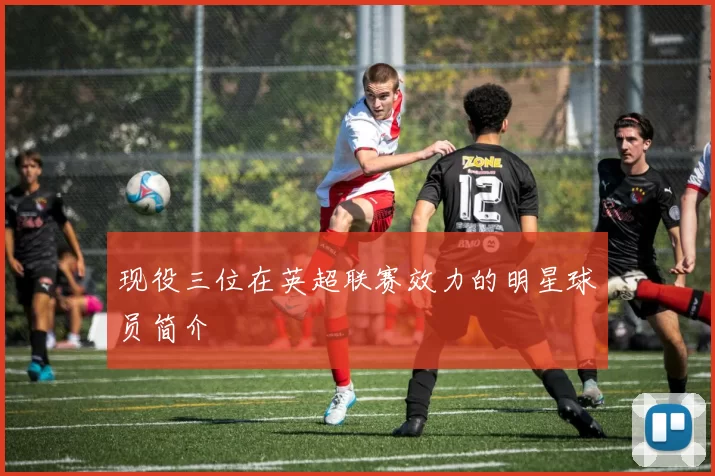 现役三位在英超联赛效力的明星球员简介