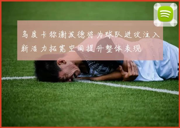 乌度卡称谢泼德将为球队进攻注入新活力拓宽空间提升整体表现