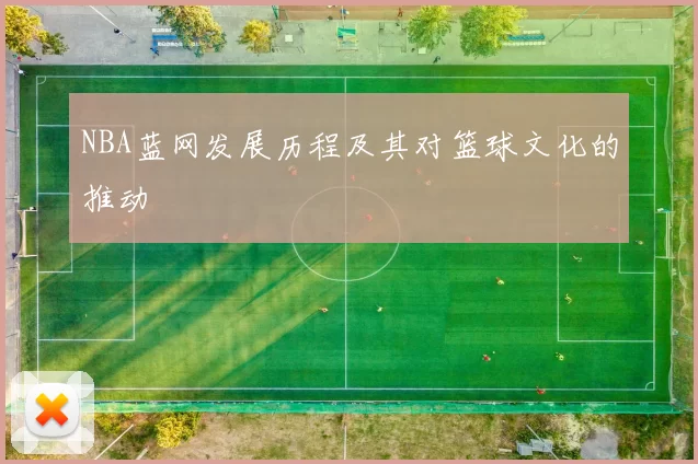 NBA蓝网发展历程及其对篮球文化的推动