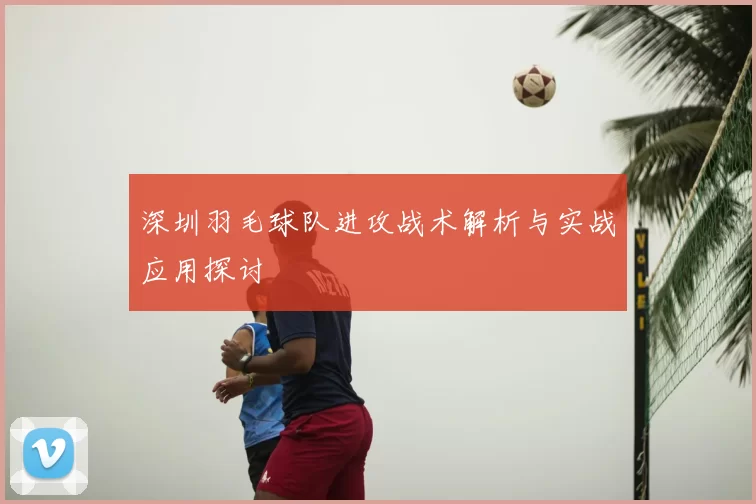 深圳羽毛球队进攻战术解析与实战应用探讨