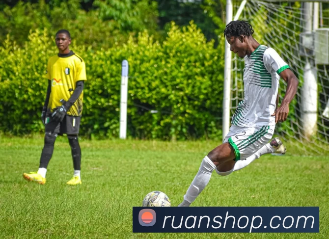 kaiyun平台生态图